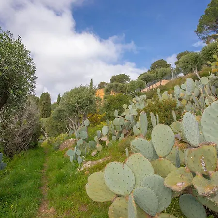 Appartement Berliat N°7